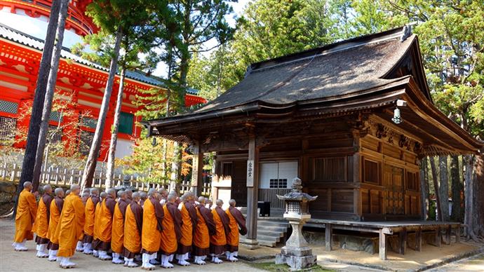 【高野山】春季胎藏界．結緣灌頂．熊野古道5日